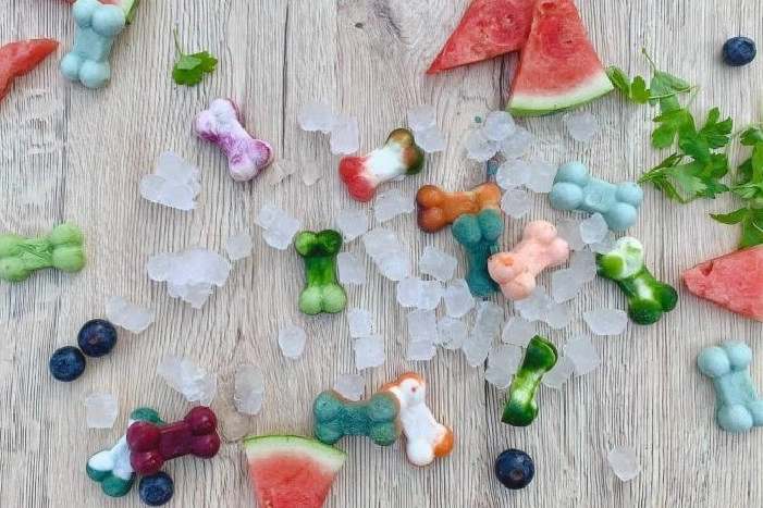 Buntes Hundeeis in Knochenform mit Früchten und Eiswürfeln.